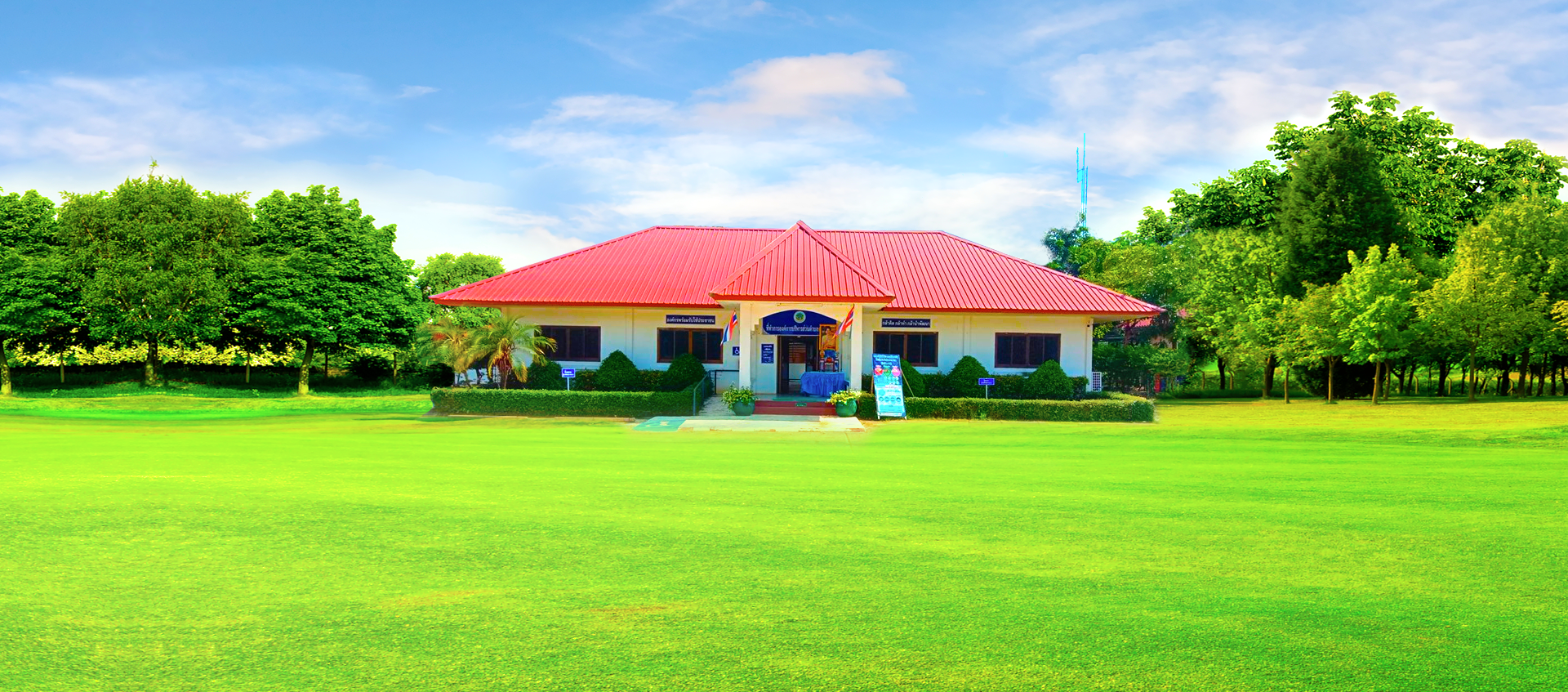 พื้นหลัง